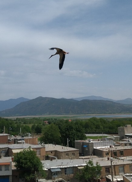 IMG_20230509_112042-3