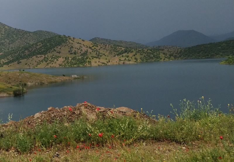 IMG_20230509_155458-2