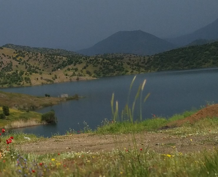 IMG_20230509_155502-2