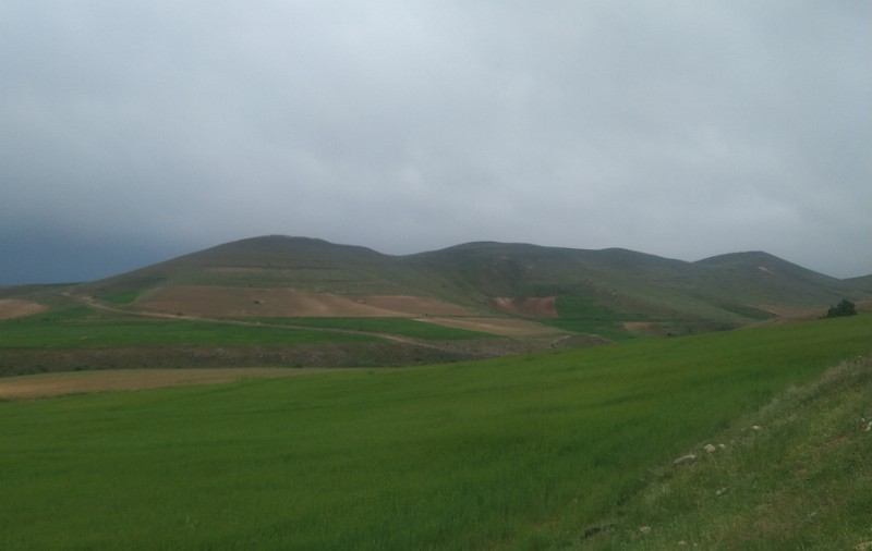 IMG_20230509_193127-2