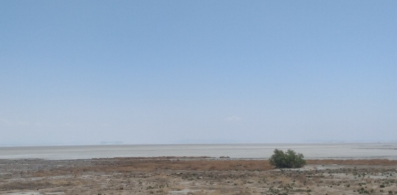 IMG_20230510_132222-2