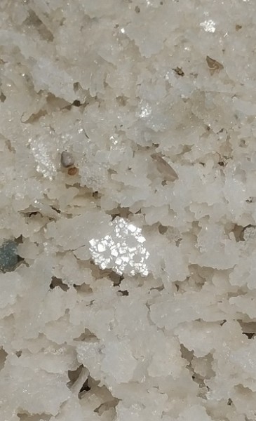 IMG_20230510_134223-3