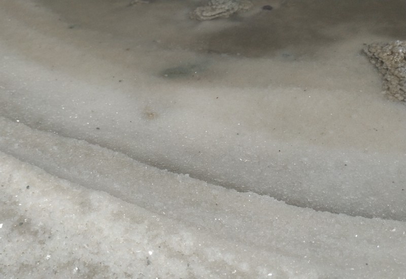 IMG_20230510_134255-2