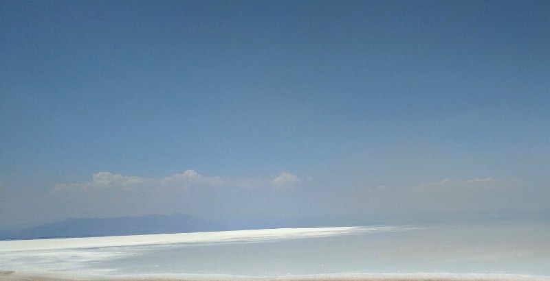 IMG_20230510_135358-3