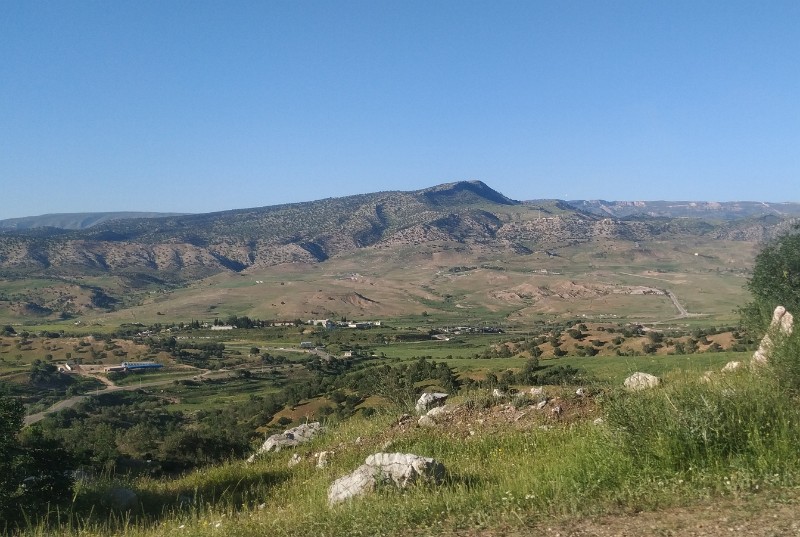 IMG_20230505_165834-2