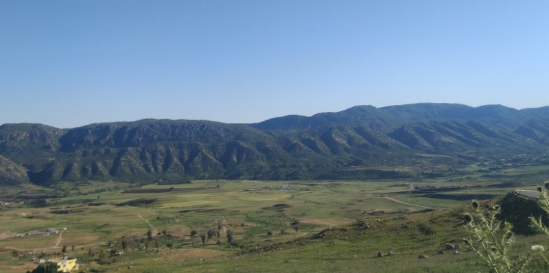 IMG_20230505_170556-2