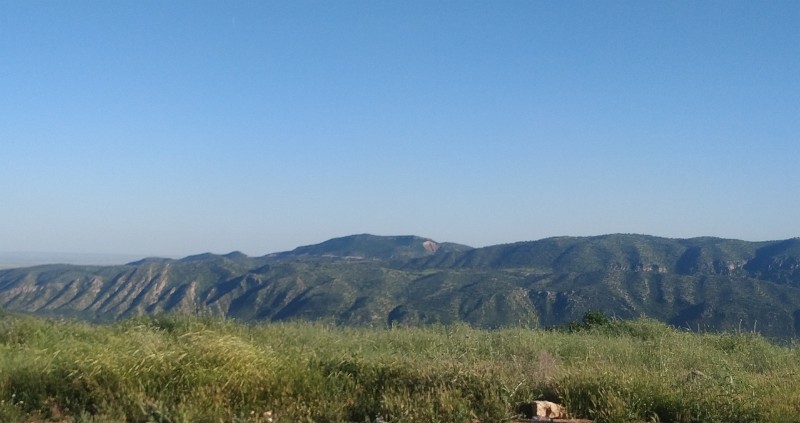 IMG_20230505_171308-2