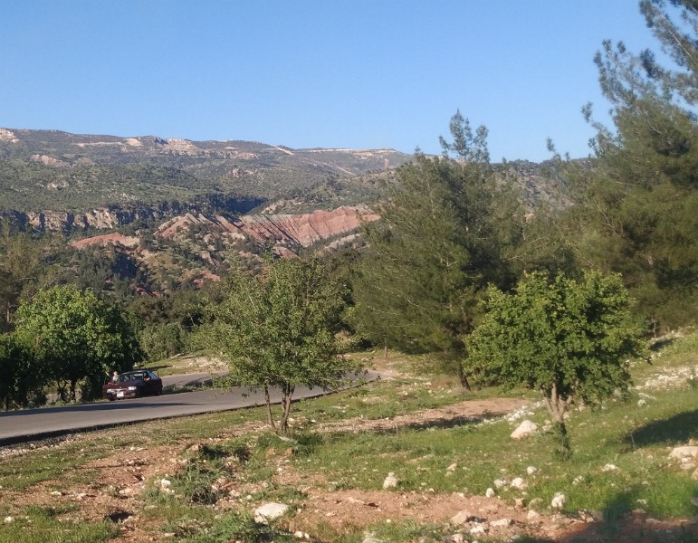 IMG_20230505_171803-2