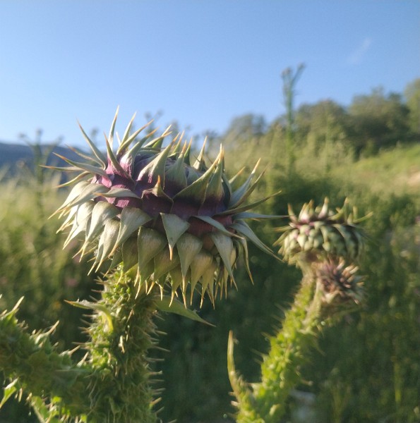 IMG_20230505_173723-2