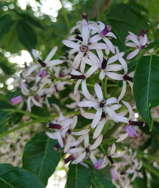 IMG_20230506_170043-2