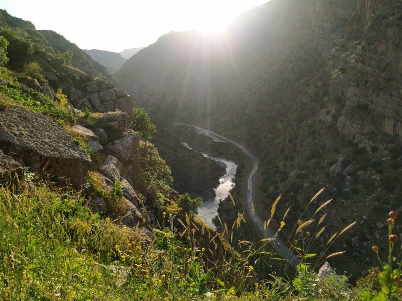 IMG_20230506_175023-2