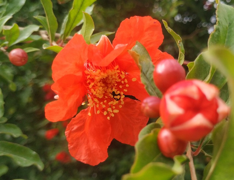 IMG_20230507_090501-2