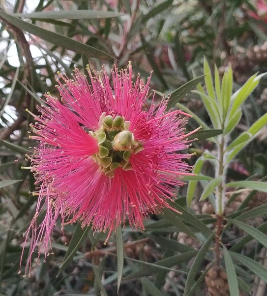 IMG_20230507_143840-3