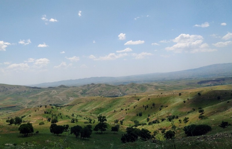 IMG_20230508_123550-3