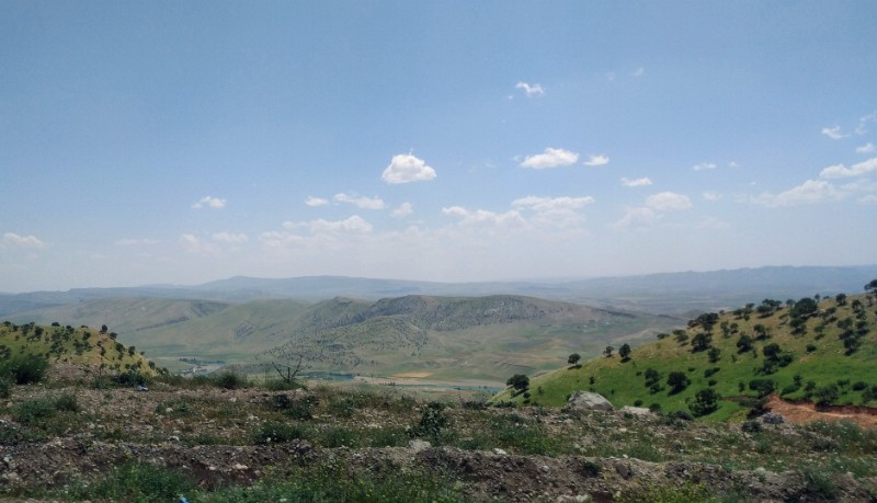 IMG_20230508_123821-3