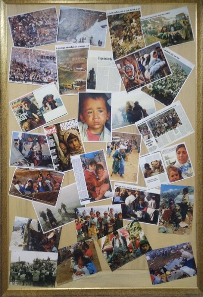 IMG_20230508_142508-2