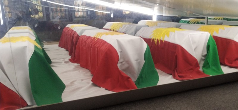 IMG_20230508_143542-2