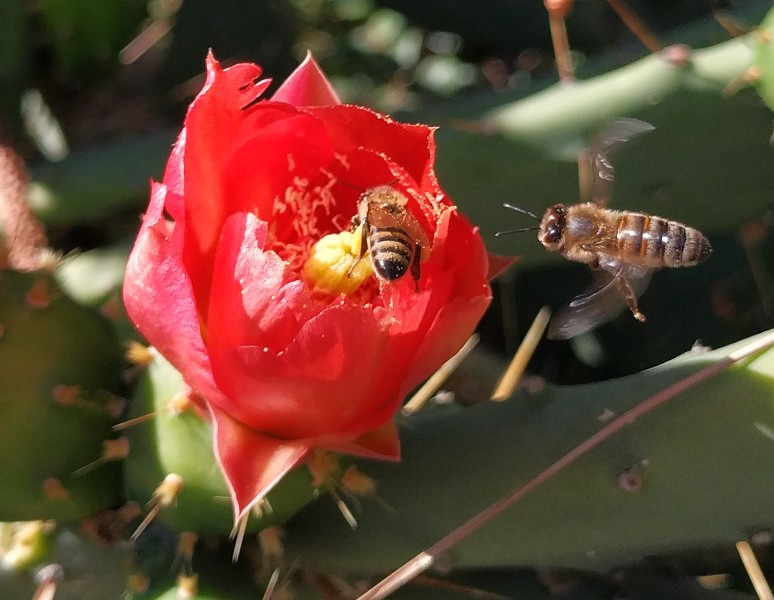 IMG_20230502_145852-2