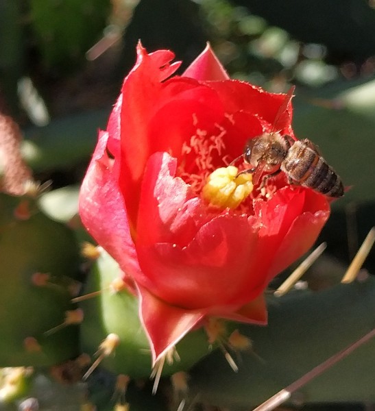 IMG_20230502_145855-2