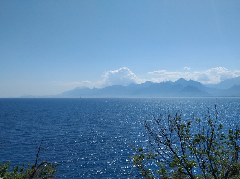 IMG_20230502_150650-2