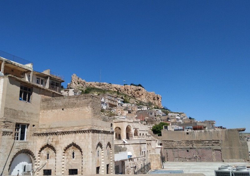 IMG_20230503_135655-3