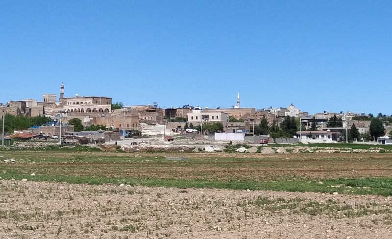 IMG_20230504_112526-3