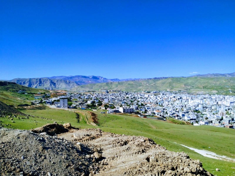 IMG_20230504_154734-EFFECTS