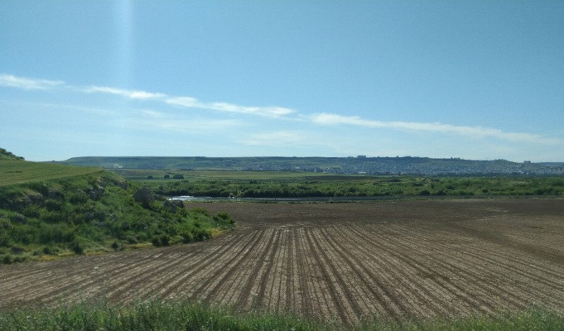 IMG_20230504_155852-2