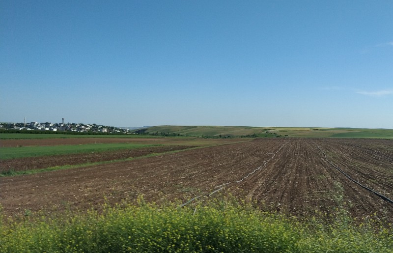 IMG_20230504_162315-2