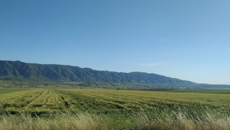 IMG_20230504_163200-2