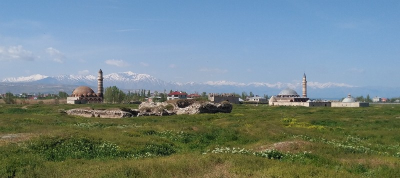 IMG_20230511_090245-3