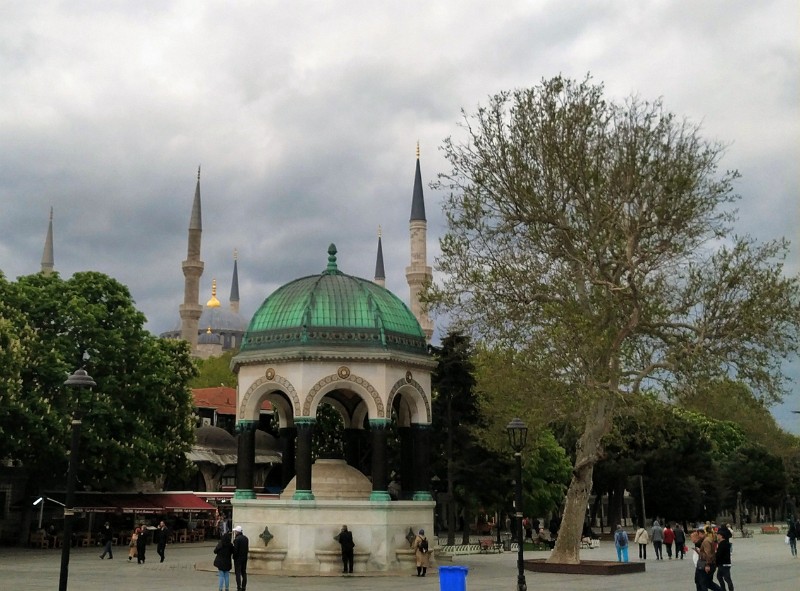 IMG_20230511_180714-4